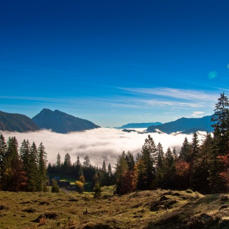 Sonne und Spaß im farbenfrohen Herbstwald im Freizeitpark Ruhpolding, © Freizeitpark Ruhpolding