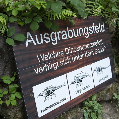 Hier erfahrt Ihr mehr über die Dinosaurier