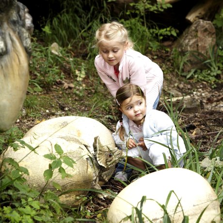 Dinosaurier entdecken im Freizeitpark Ruhpolding, zwischen München und Salzburg., © Freizeitpark Ruhpolding