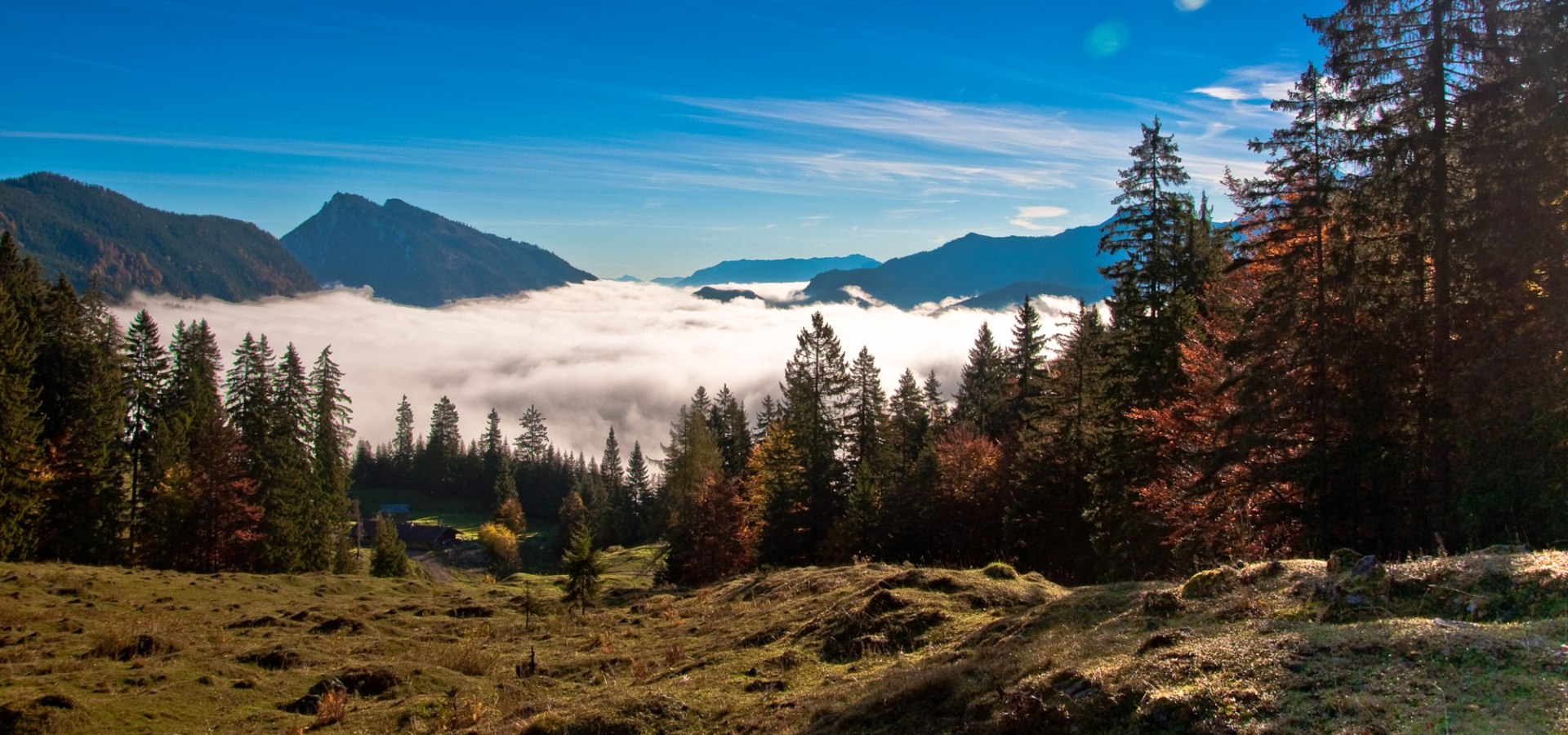 Sonne und Spaß im farbenfrohen Herbstwald im Freizeitpark Ruhpolding, © Freizeitpark Ruhpolding