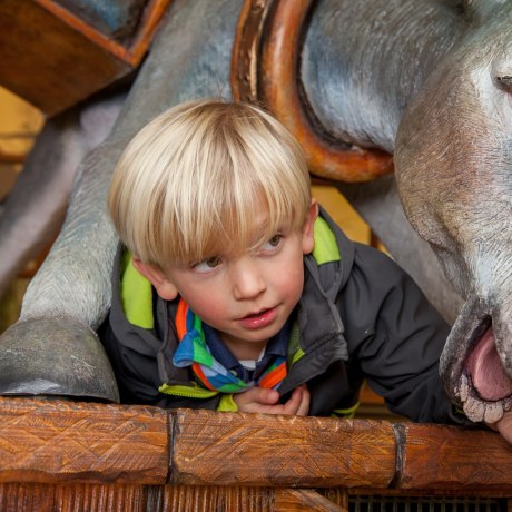 Fabelhafte Wesen findet ihr in der Märchenwelt im Freizeitpark Ruhpolding., © Freizeitpark Ruhpolding